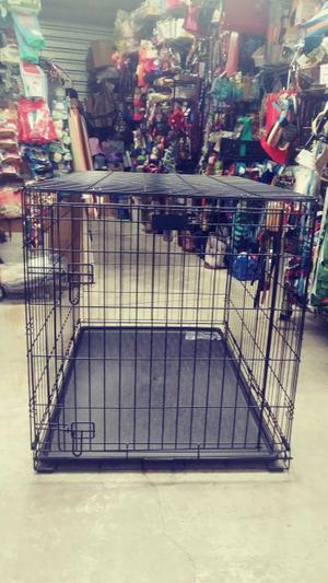 xl dog crate for sale near me