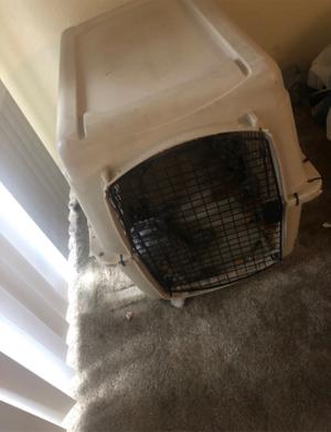 bargain hound dog crate