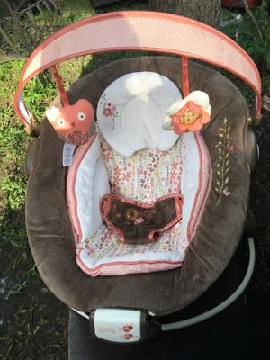 baby girl vibrating bouncer