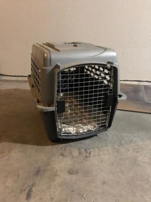 petmate pet shuttle
