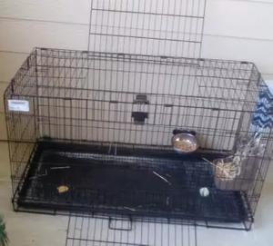 used rabbit cages for sale near me