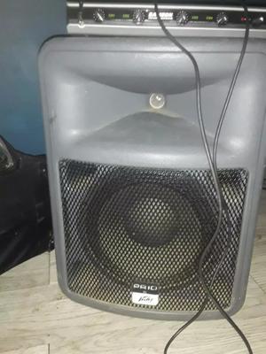 used peavey sp2 speakers for sale