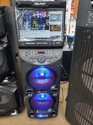 dolphin speakers karaoke