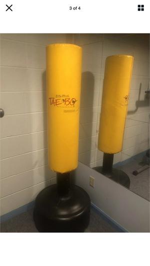 tae bo punching bag