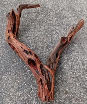 Large Driftwood Manzanita Aquarium Terrarium 25"×20"×5 $189