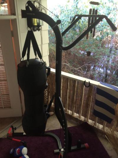 Everlast MMA Omnistrike Stand
