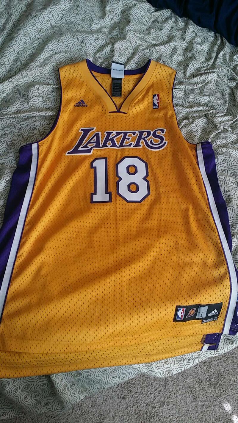 sasha vujacic lakers jersey