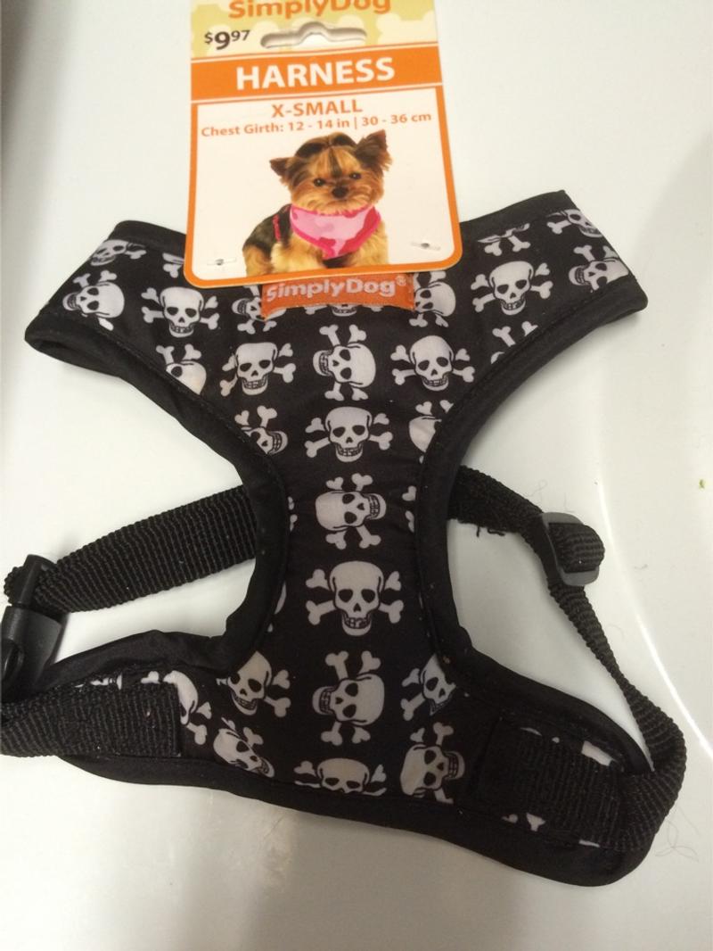 skull dog harness