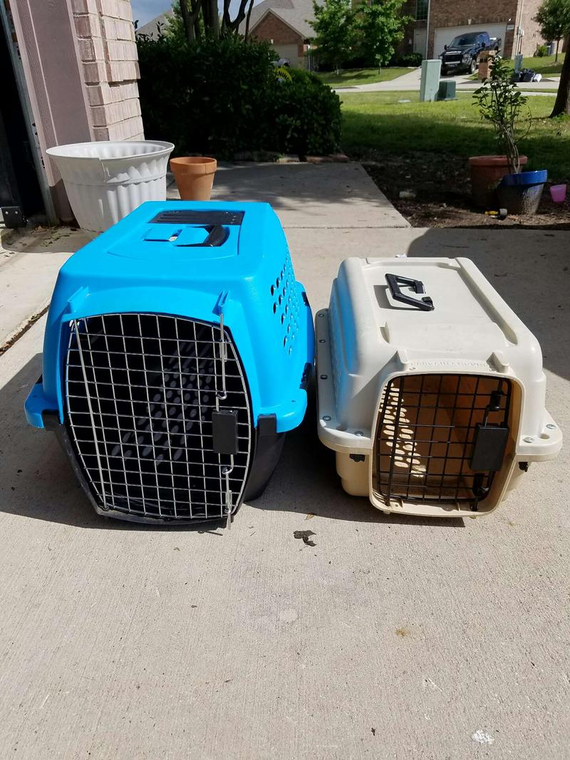 petco kennel