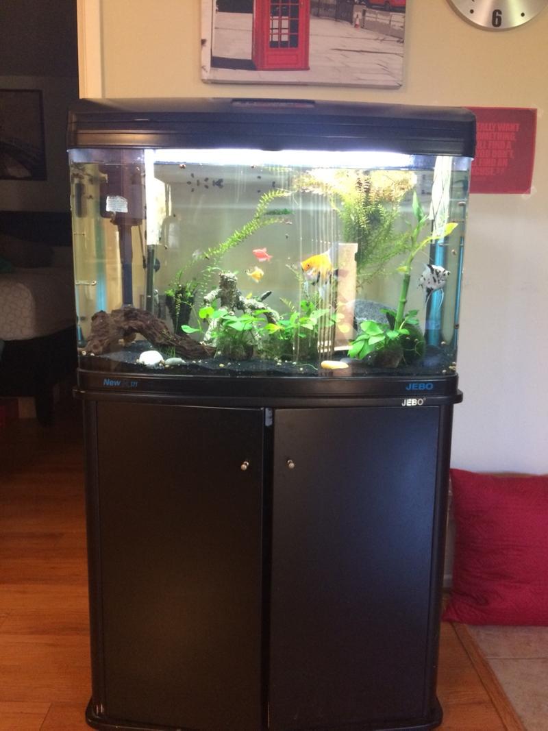 30 gallon Jebo R375 kg aquarium, stand, angel fish for sale in Burbank