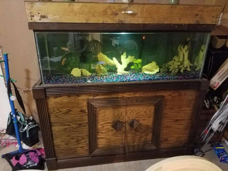 120 gallon fish tank