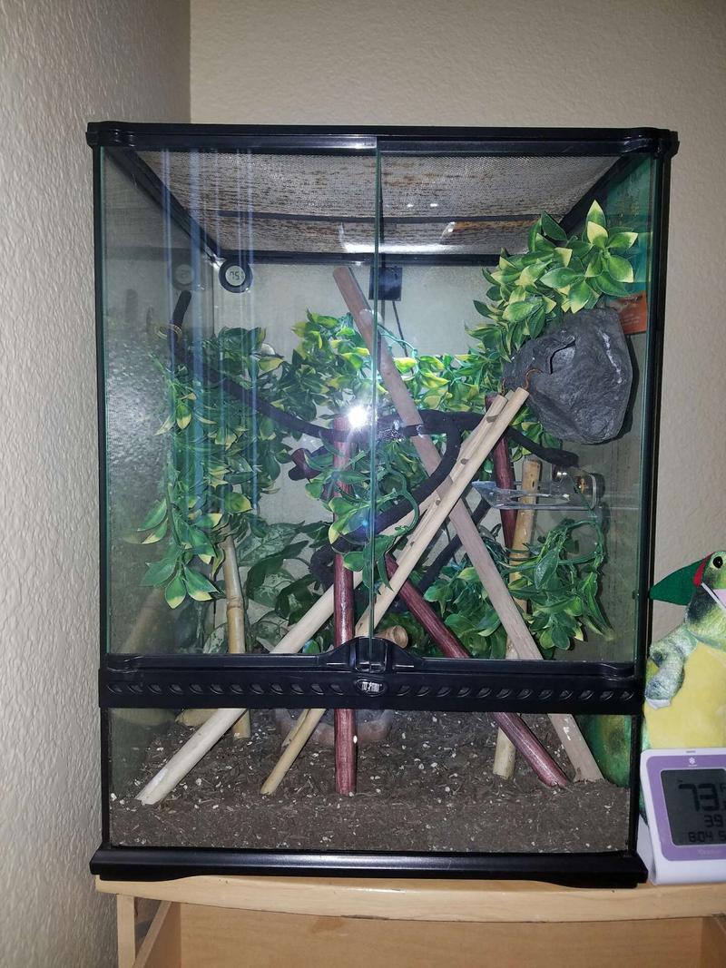 gecko enclosure for sale