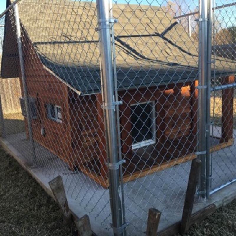 dog house for sell