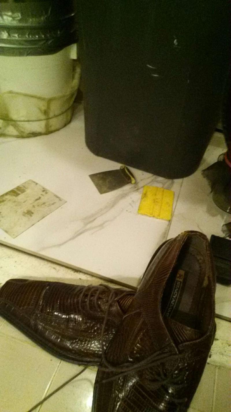 stacy adams alligator shoes