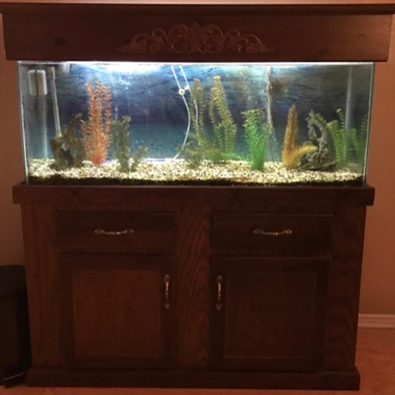 55gal Freshwater Fish Tank PLUS Stand, Canopy and Accessories for sale