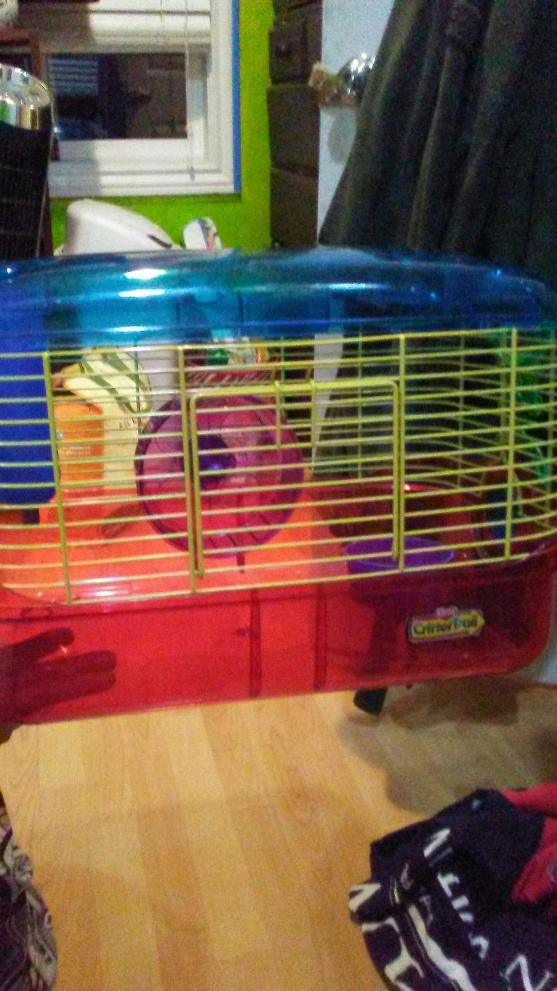 mouse cages for sale