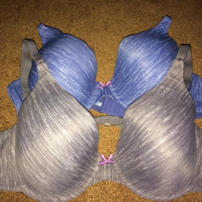 36d bra online shopping