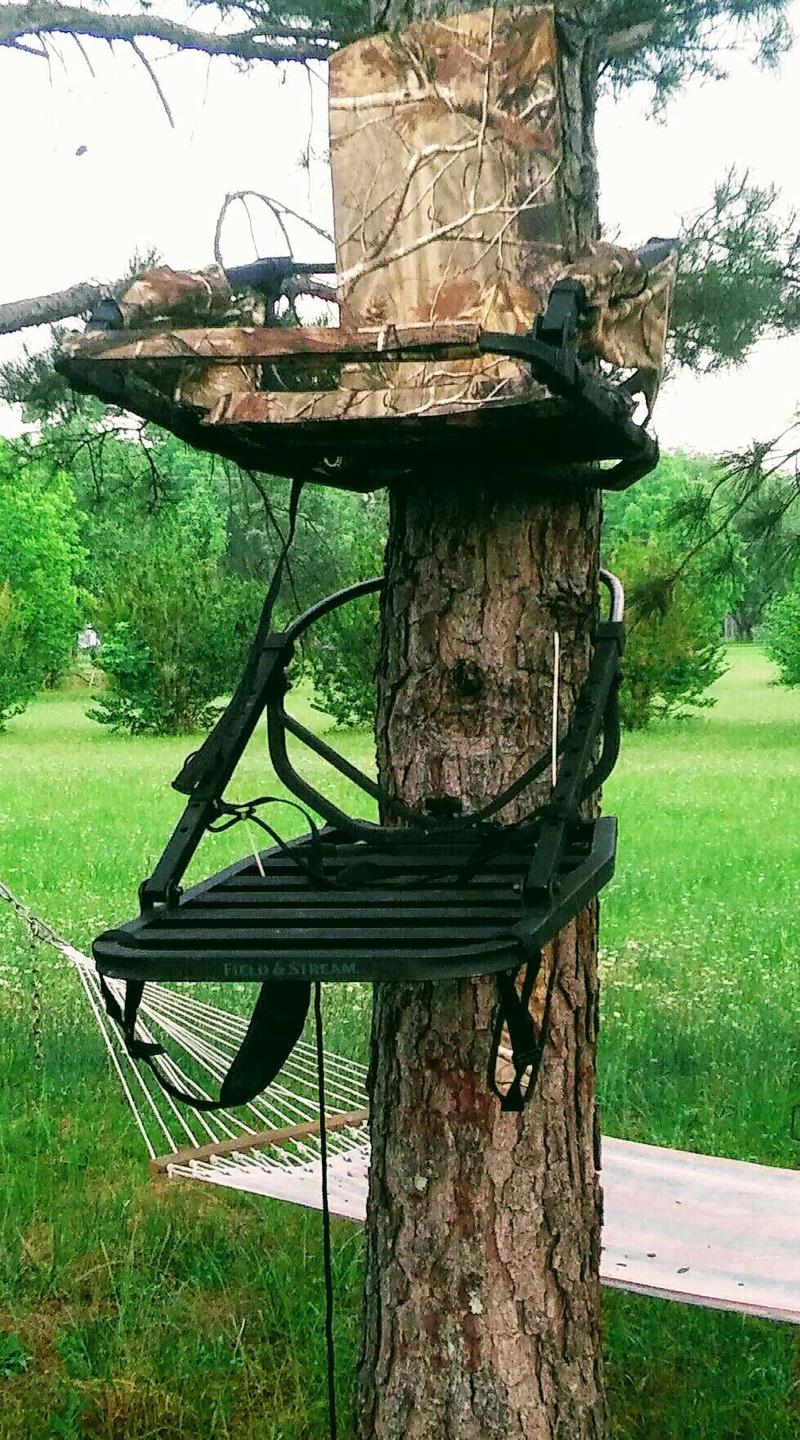 Field & Stream *Brand New*Summit Titan SD Climbing Treestand for sale