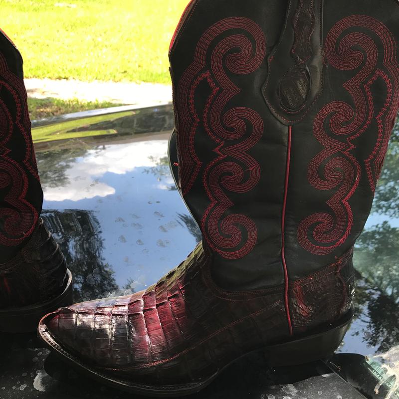 botas de cola de cocodrilo