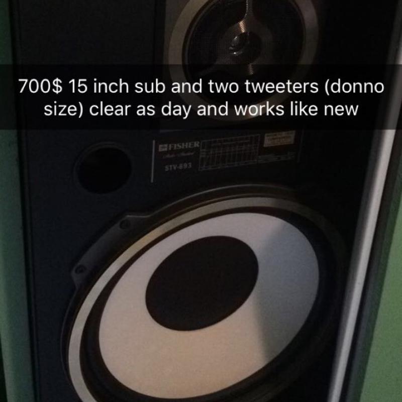 Fisher STV893 for sale in Bothell, WA 5miles Buy and Sell