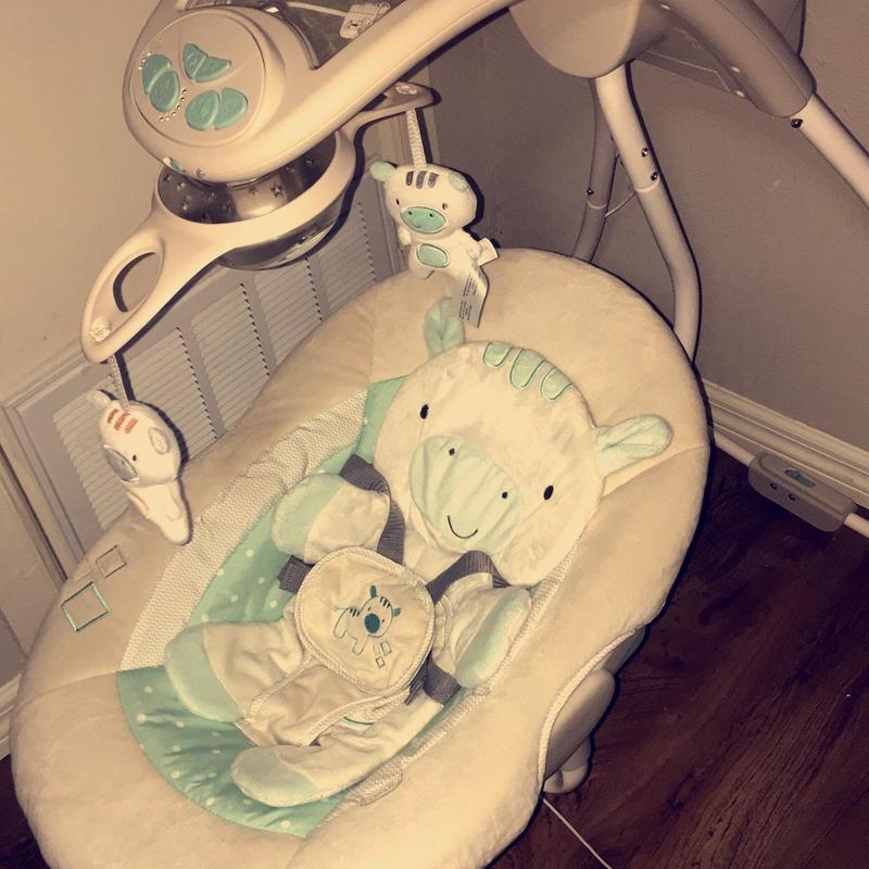 ingenuity swing zebra