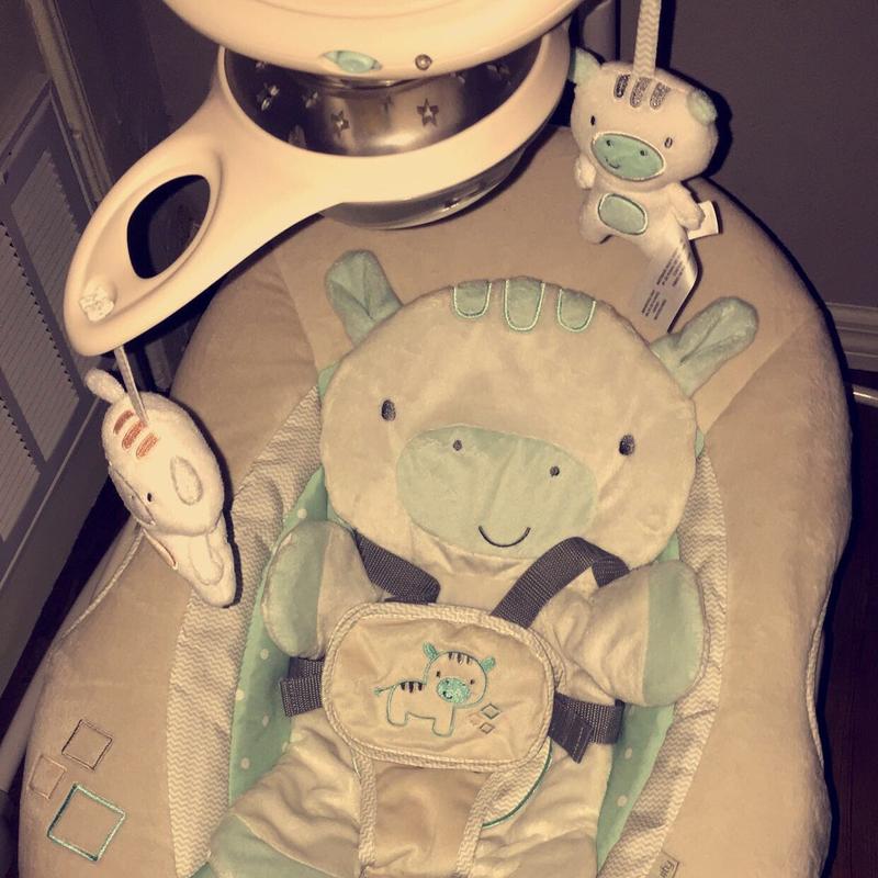 Zoo zoo zebra swing Clearance