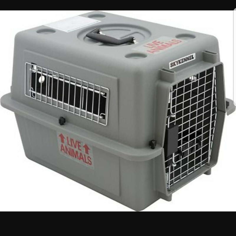 Petmate Sky Kennel Medium 28X20" (NEW) for sale in Rancho Cucamonga, CA