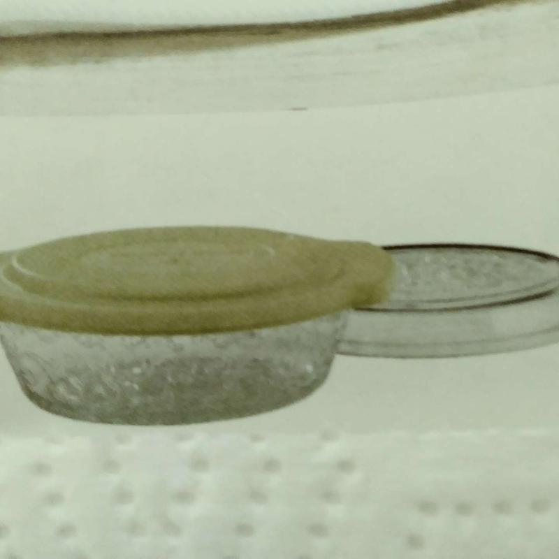 Princess house for sale in Los Angeles, CA 5miles Buy and Sell