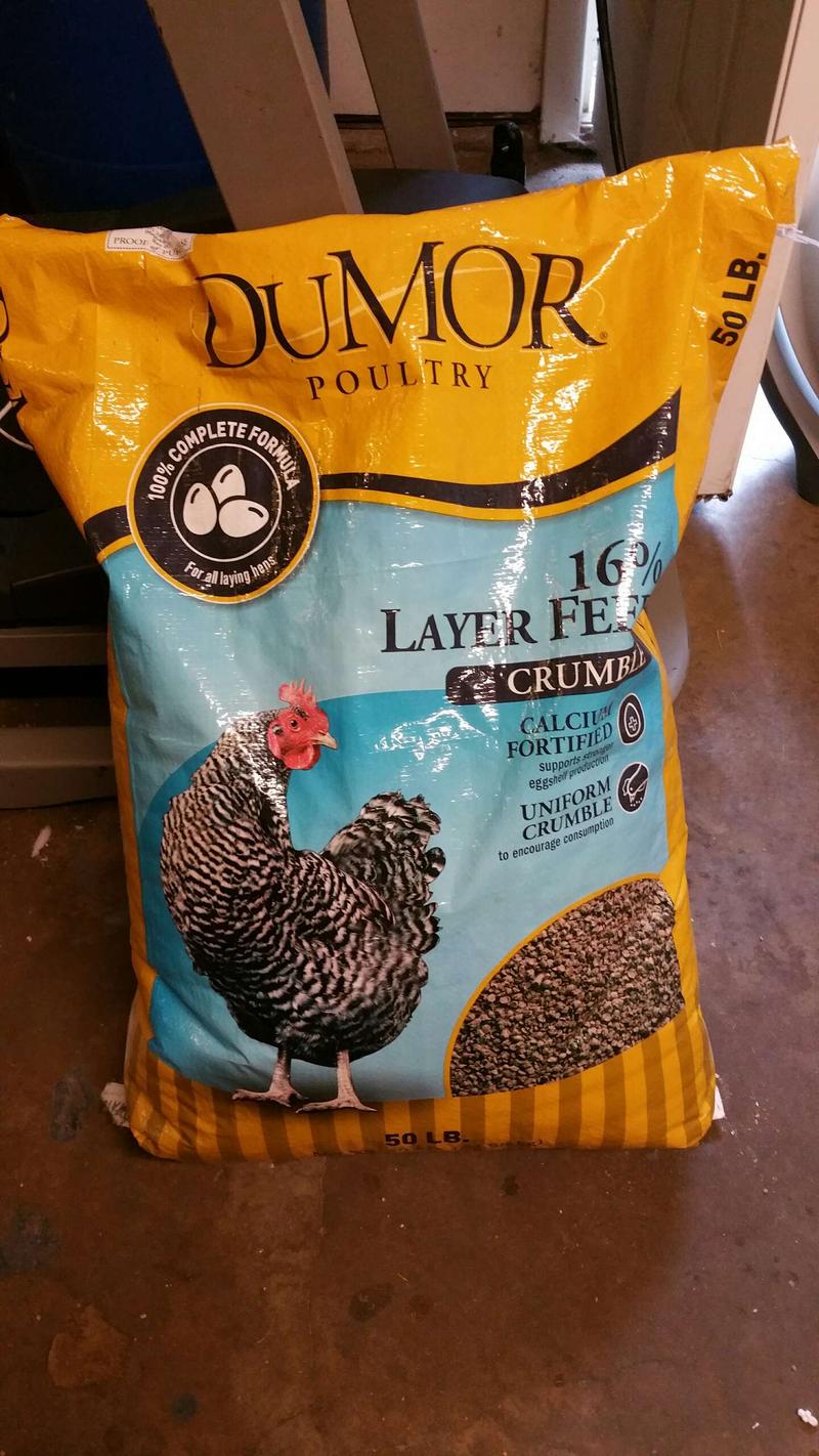 Chicken feed for sale in Tomball, TX 5miles Buy and Sell