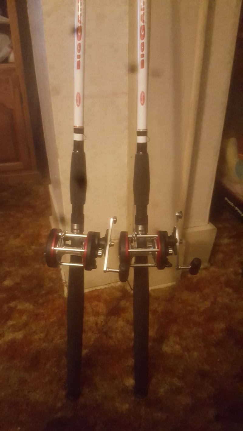 catfish rods and reels for sale