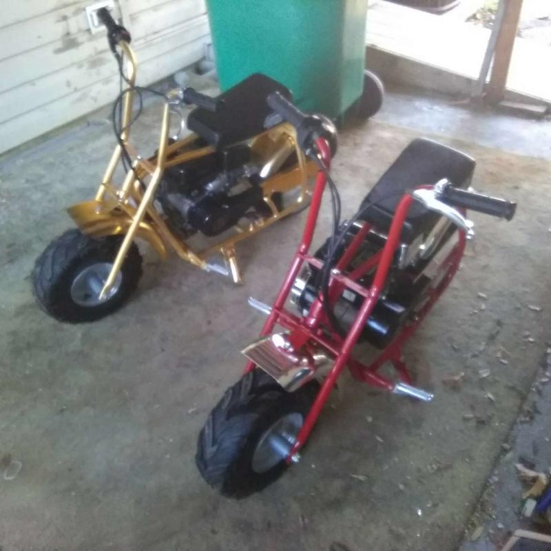 coleman c100 mini bike