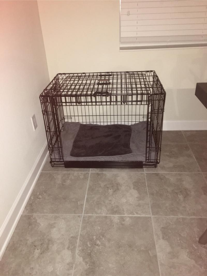 KONG Dog crate for sale in Orlando, FL 5miles Buy and Sell