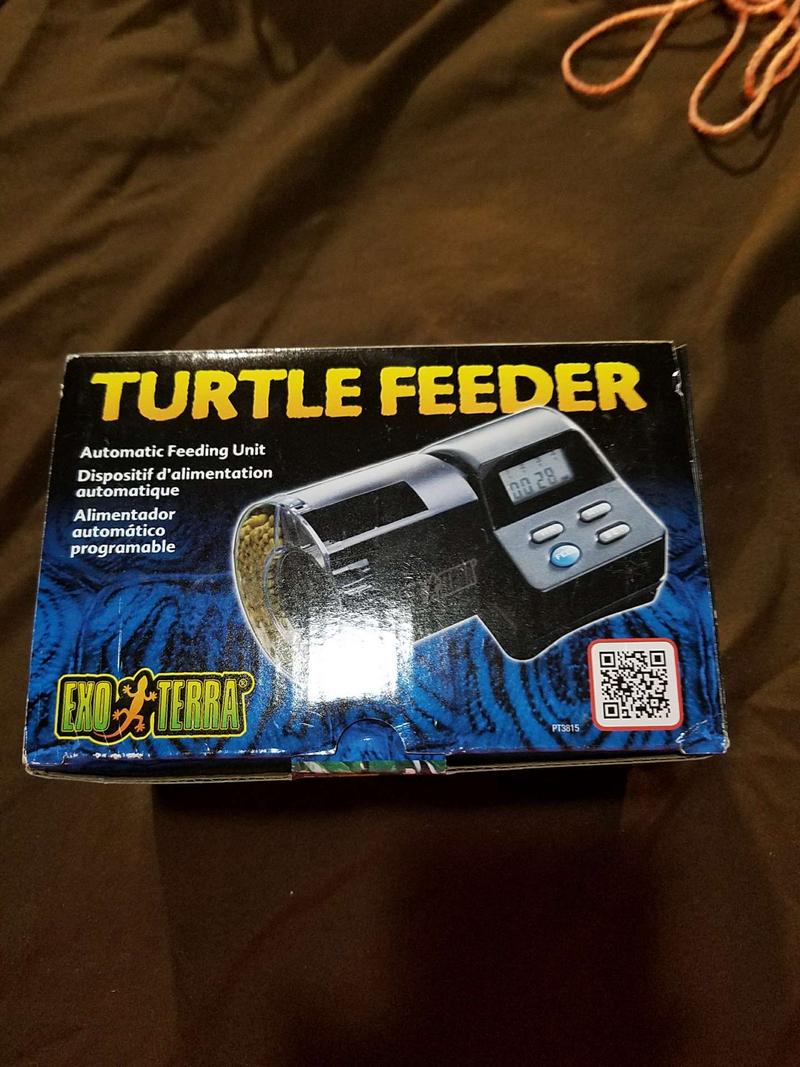 automatic turtle feeder petco