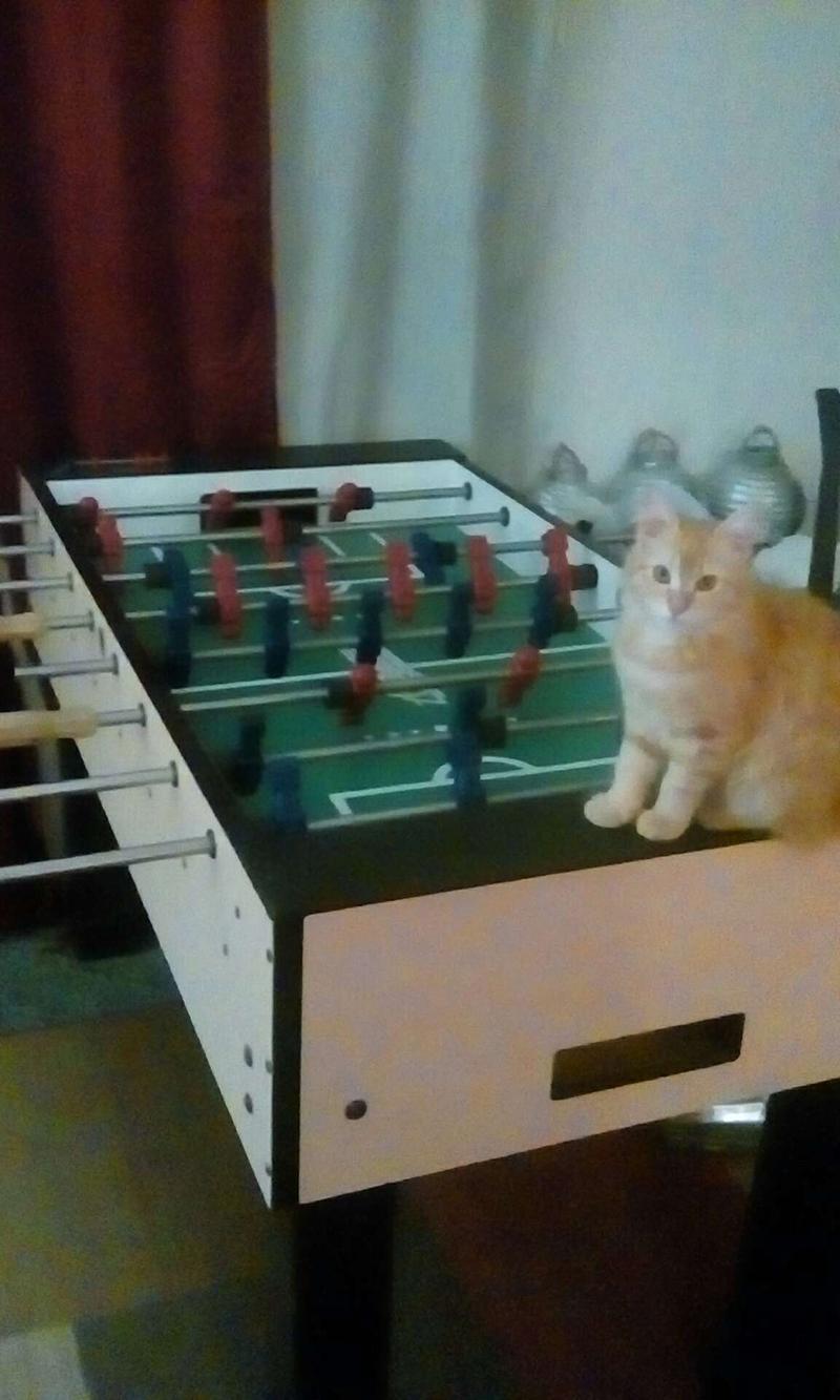 Dynamo Bronze Medal ArcadeQuality Foosball Table Like Mew for sale in