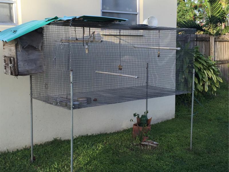 Bird breeding cages for sale in Miami, FL 5miles Buy and Sell