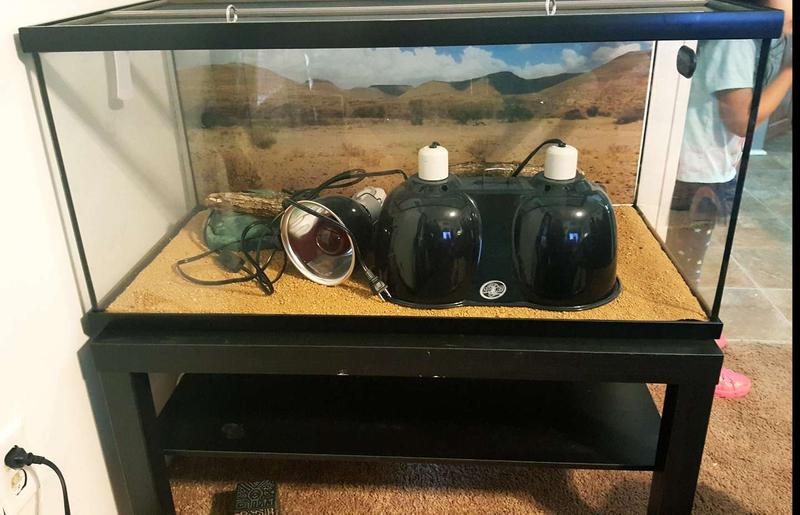 40 gal tank with reptile starter kit. for sale in Fort Worth, TX