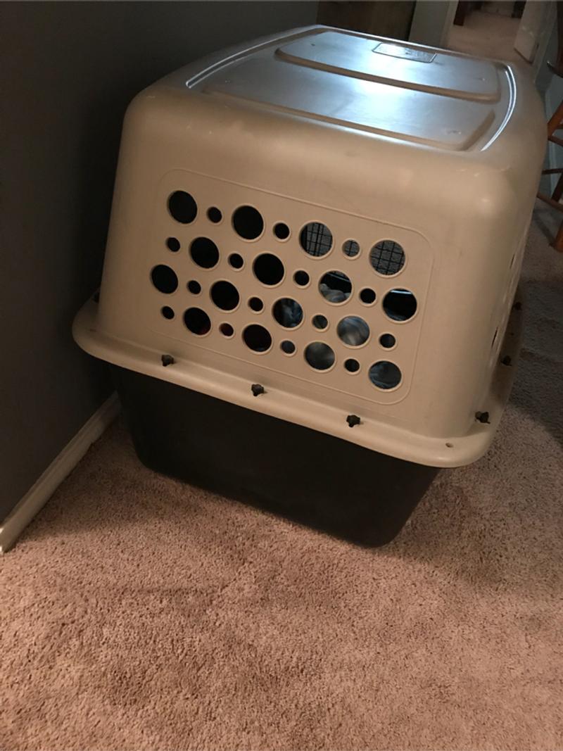 pet champion pet carrier