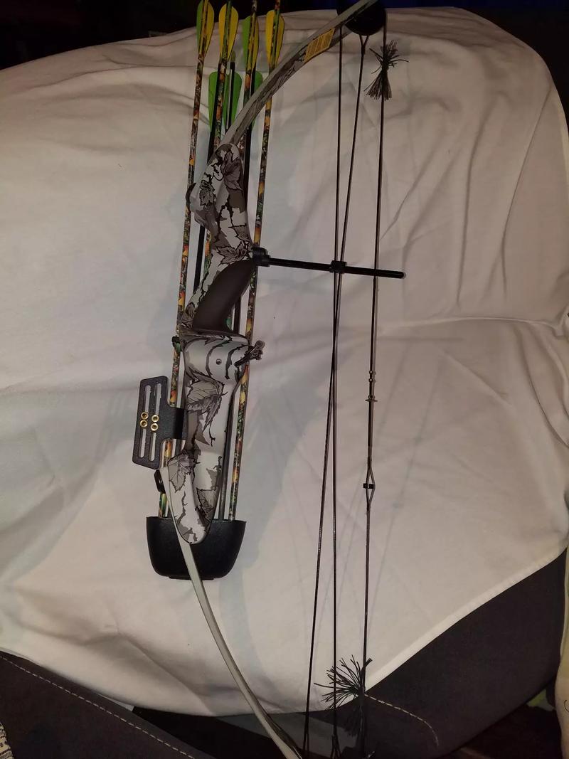 Darton USA Excel Compound bow and arrows for sale in Denton, TX
