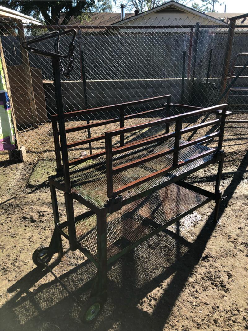 Goat stand, goat treadmill stand, feed bucket, water buckets and more