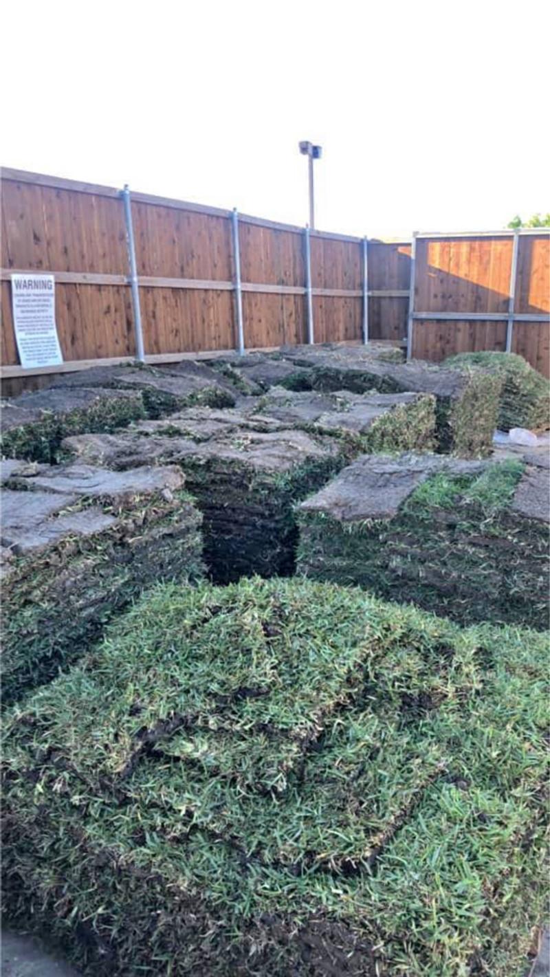 St. Augustine SOD Pallet for sale in Carrollton, TX 5miles Buy and