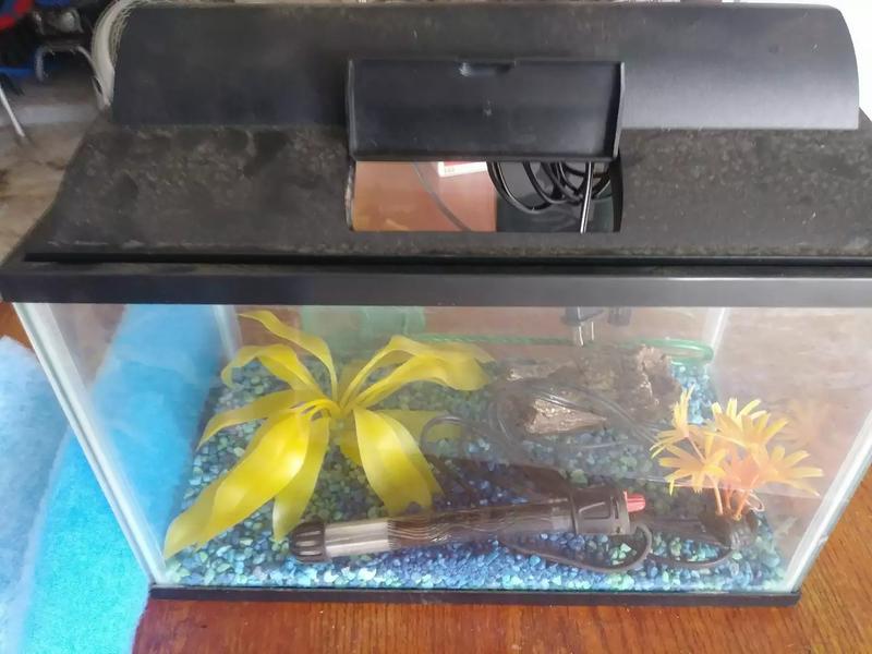 110 gal. 120 gal. Fish tanks for sale in Houston, TX 5miles Buy and Sell