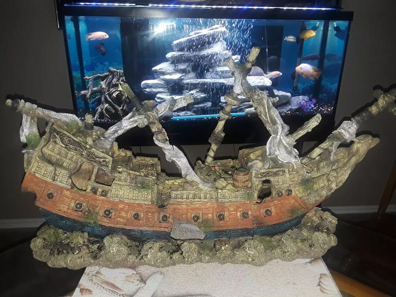 Aquarium ship for sale in Arlington, TX 5miles Buy and Sell