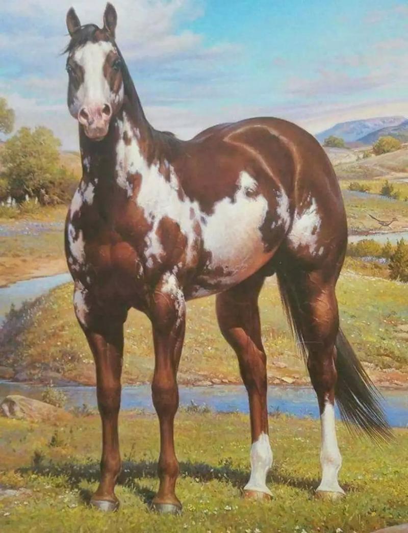 Signed and numbered orren mixer original horses for sale in Fort Worth