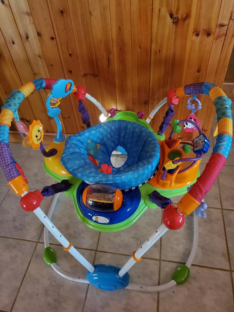 Baby Einstein bouncer for sale in Palos Park, IL 5miles Buy and Sell
