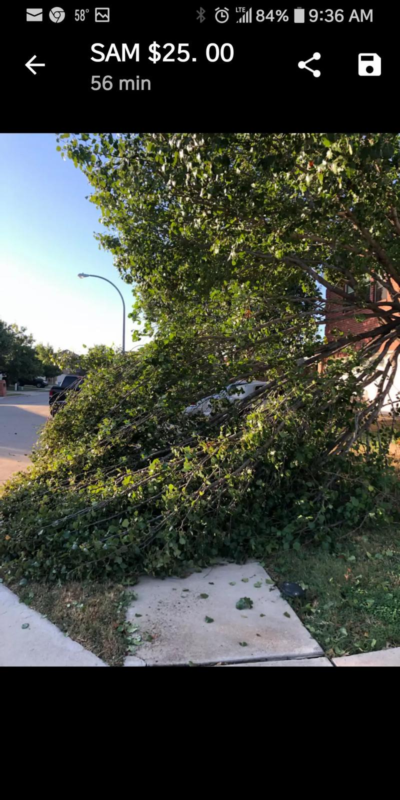 FOSTER'S LAWN & TREE SERVICES for sale in Fort Worth, TX 5miles Buy