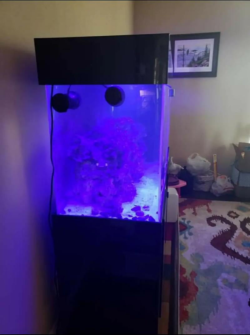 125 gallon acrylic room divider tank for sale in Keller, TX 5miles