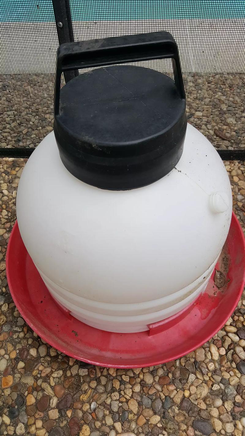 Chicken waterer for sale in Houston, TX 5miles Buy and Sell