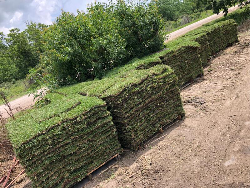 Grass pallets for sale in Sugar Land, TX 5miles Buy and Sell