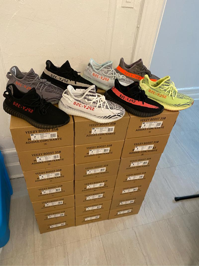 beluga v1