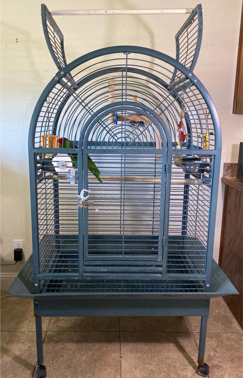 California Cage Amazon Parrot Size for sale in Argyle, TX 5miles Buy